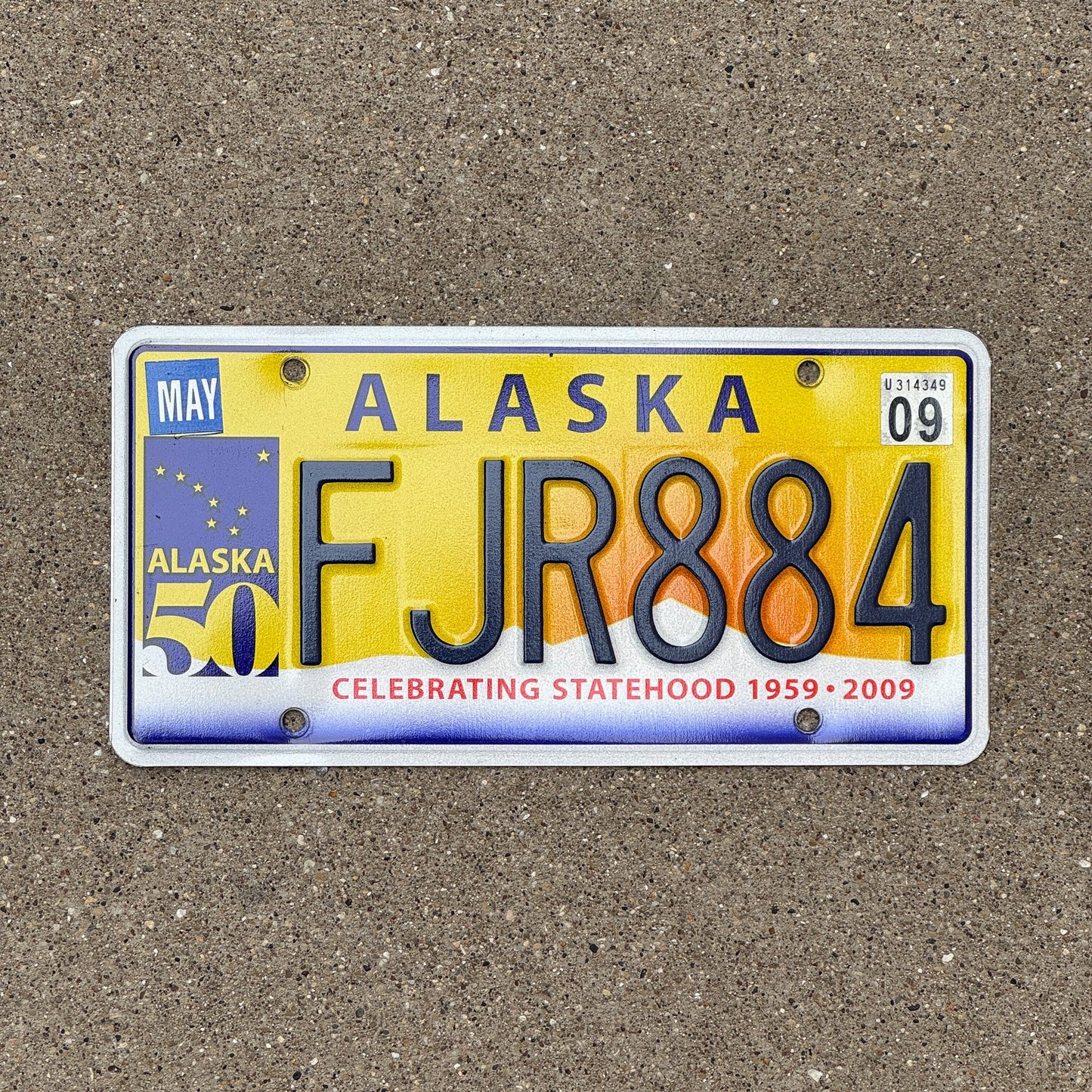 Photo of a 2009 Alaska License Plate Auto Tag Garage Decor Vintage FJR 884