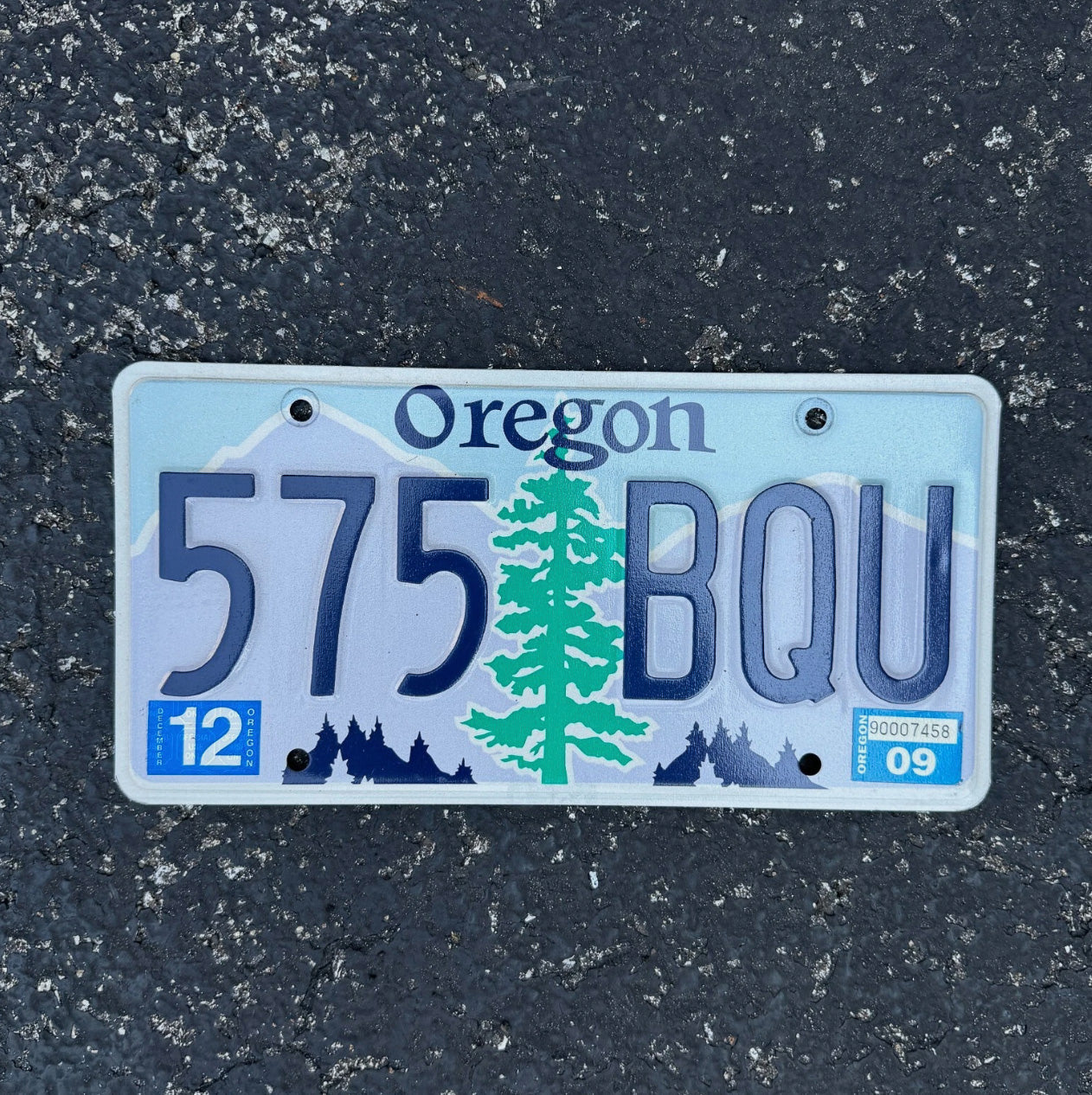 Photo of a 2009 Oregon License Plate Auto Tag Garage Decor Vintage 575 BQU