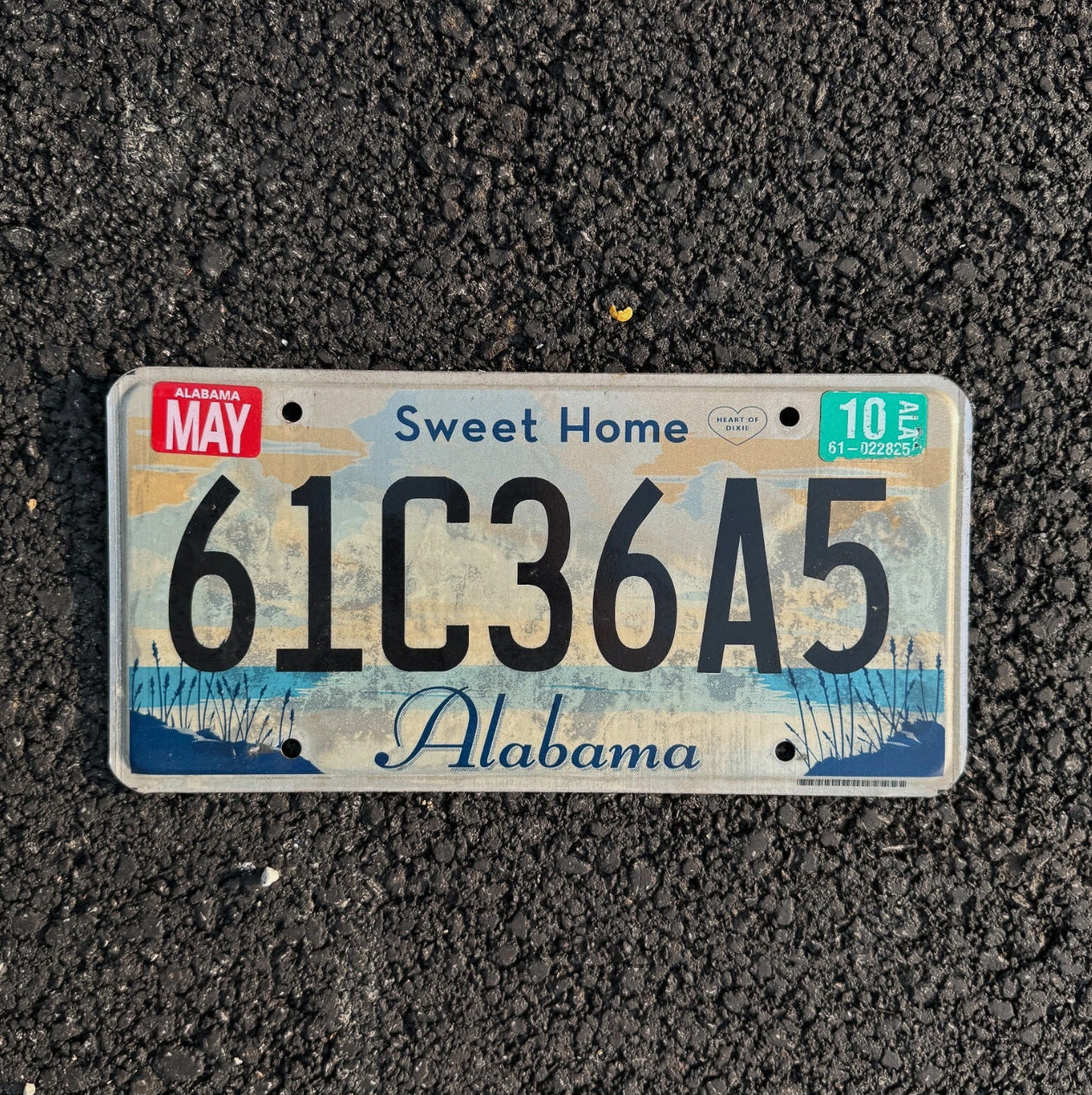 Photo of a 2010 Alabama License Plate Auto Tag Garage Decor Vintage Sweet Home AL 61 C 36 A5