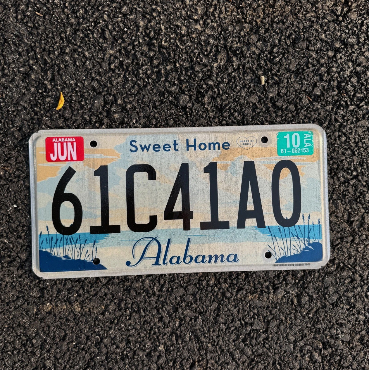 Photo of a 2010 Alabama License Plate Auto Tag Garage Decor Vintage Sweet Home AL 61 C 41 A0