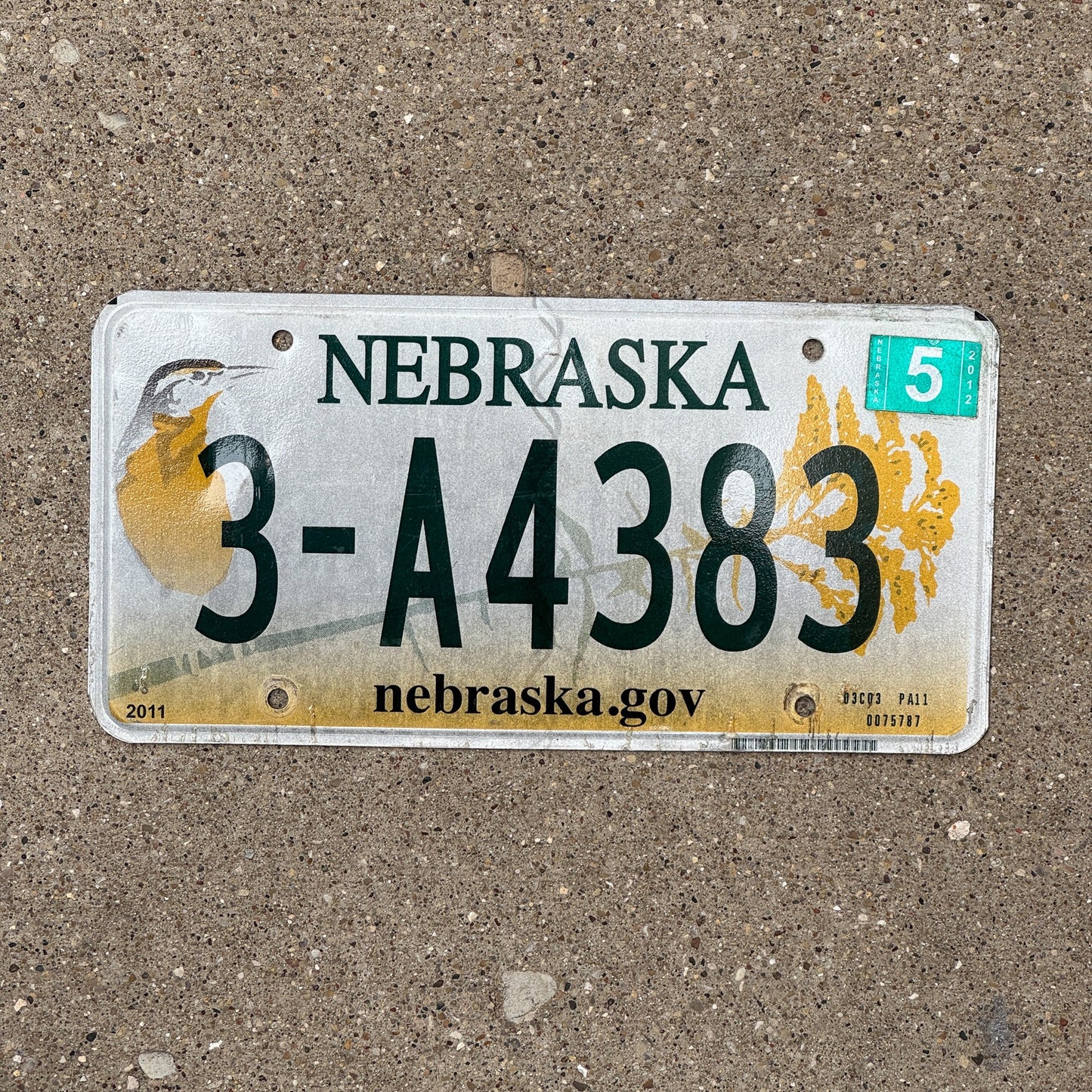 Photo of a 2011 2012 Nebraska License Plate Auto Tag Garage Decor Vintage Meadowlark Bird 3 A4383