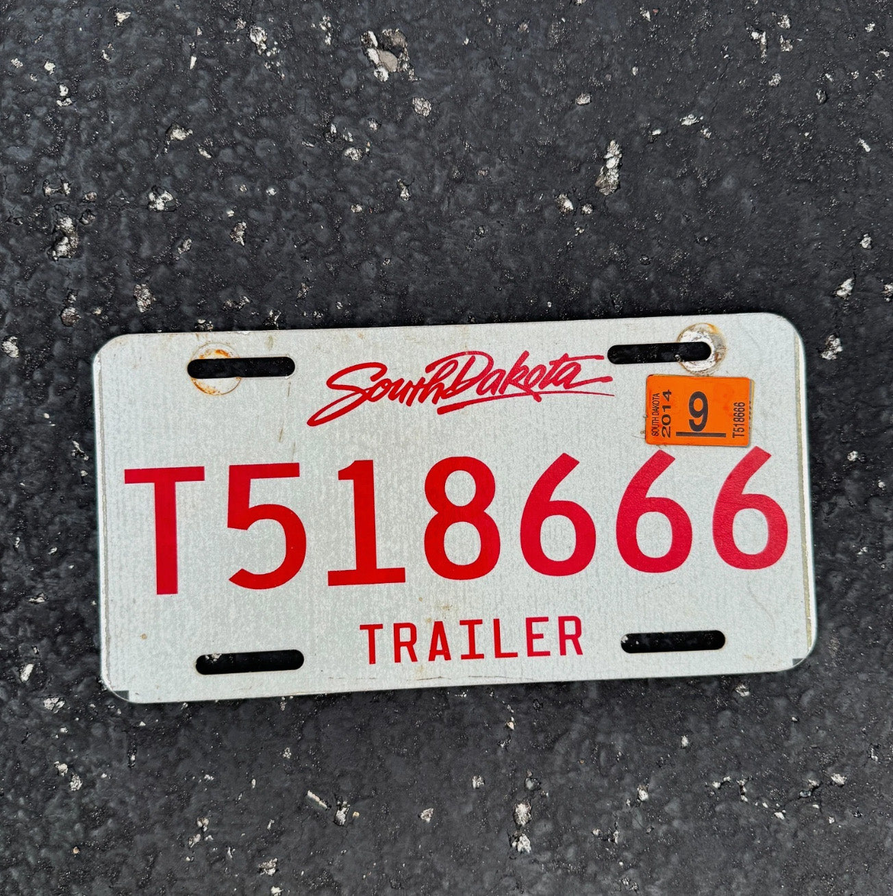 Photo of a 2012 South Dakota Trailer License Plate Auto Tag Garage Decor Vintage Repeat Repeating Evil T 518 666