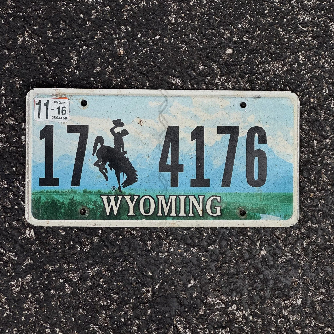 Photo of a 2016 Wyoming License Plate Auto Tag Garage Decor Vintage 17 4176