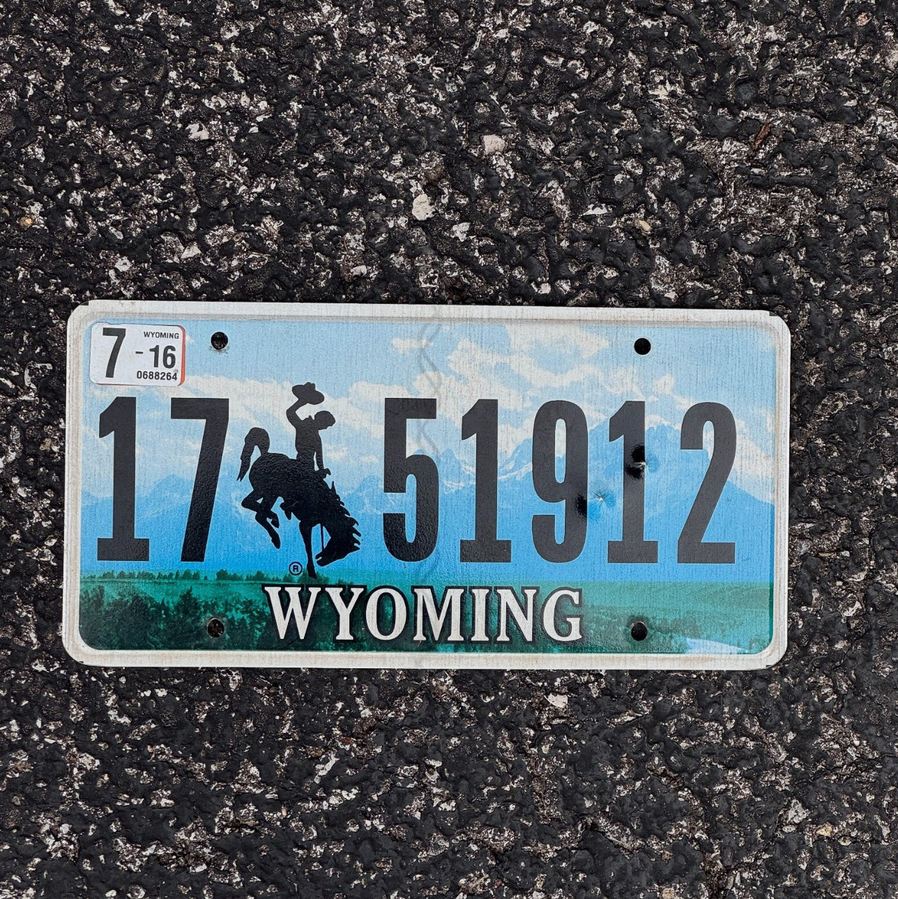 Photo of a 2016 Wyoming License Plate Auto Tag Garage Decor Vintage 17 51912
