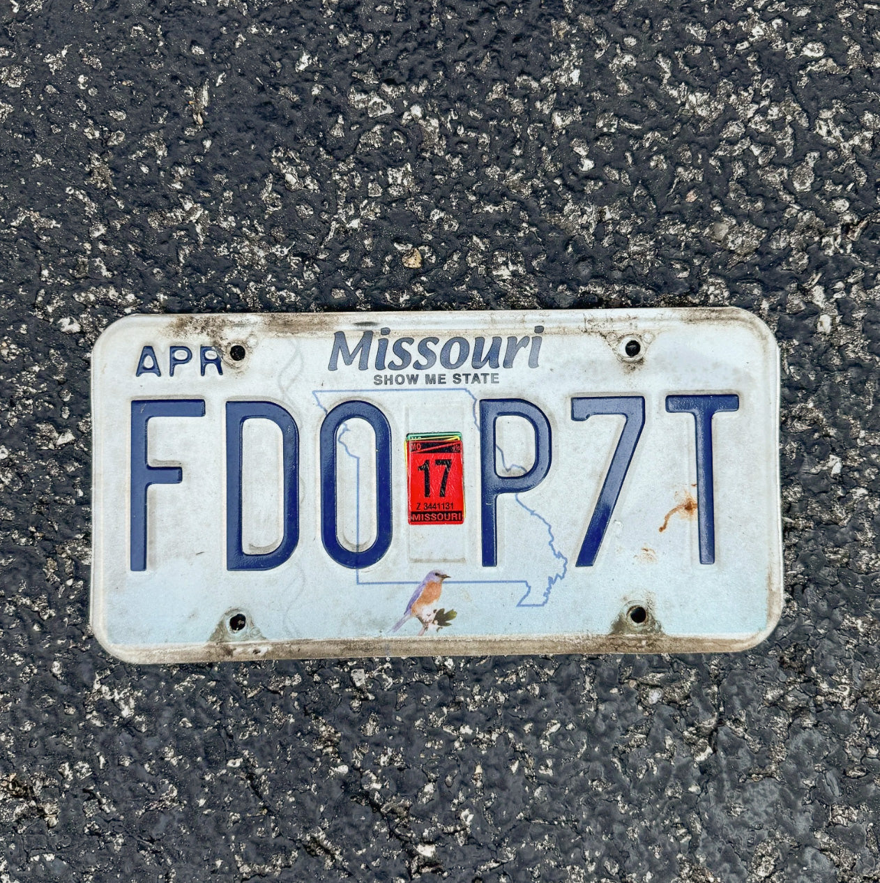 Photo of a 2017 Missouri License Plate Auto Tag 1 Garage Decor FDOP 7T