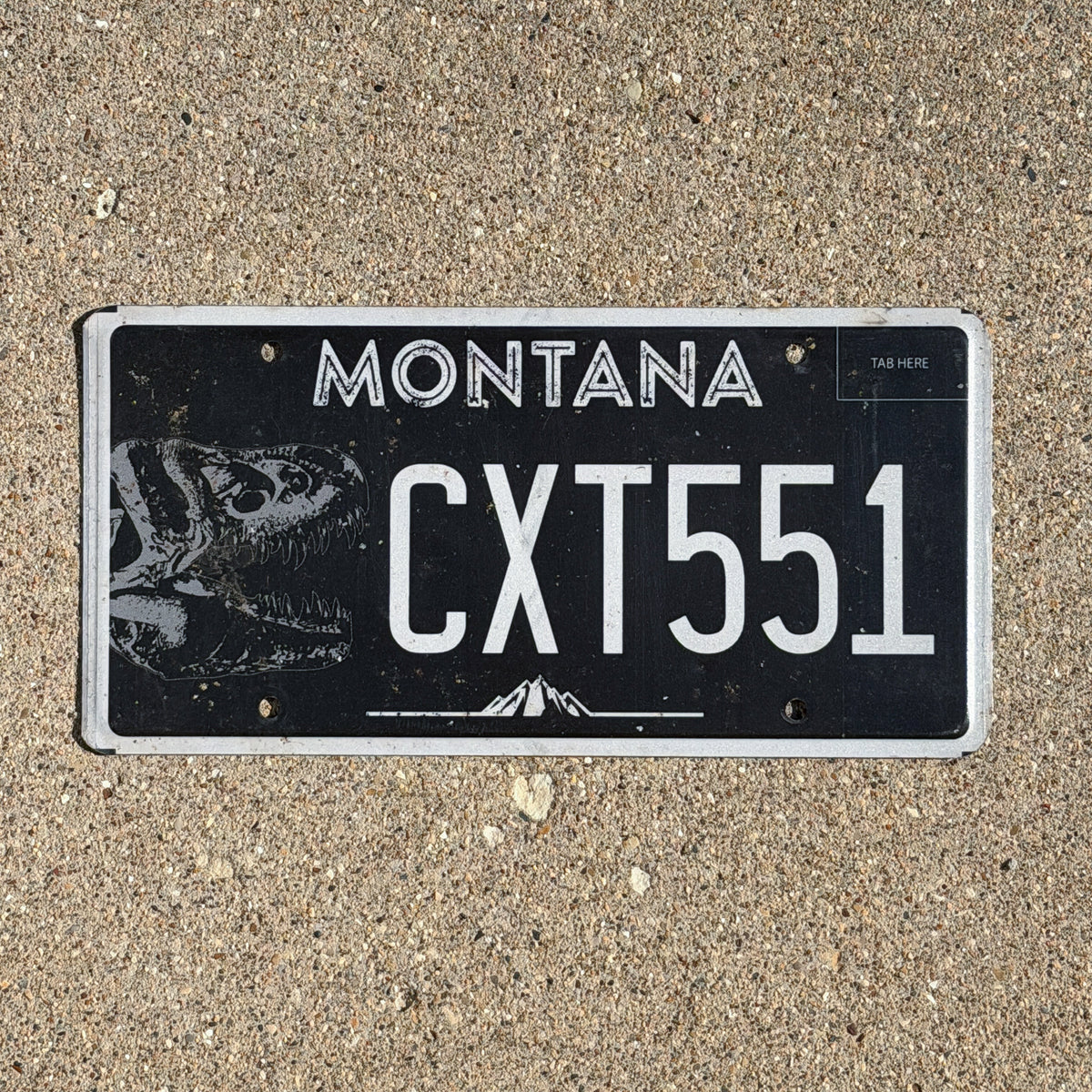 2018 Montana Graphic / Specialty License Plate Auto Tag T Rex Dinosaur Fossil CXT 551