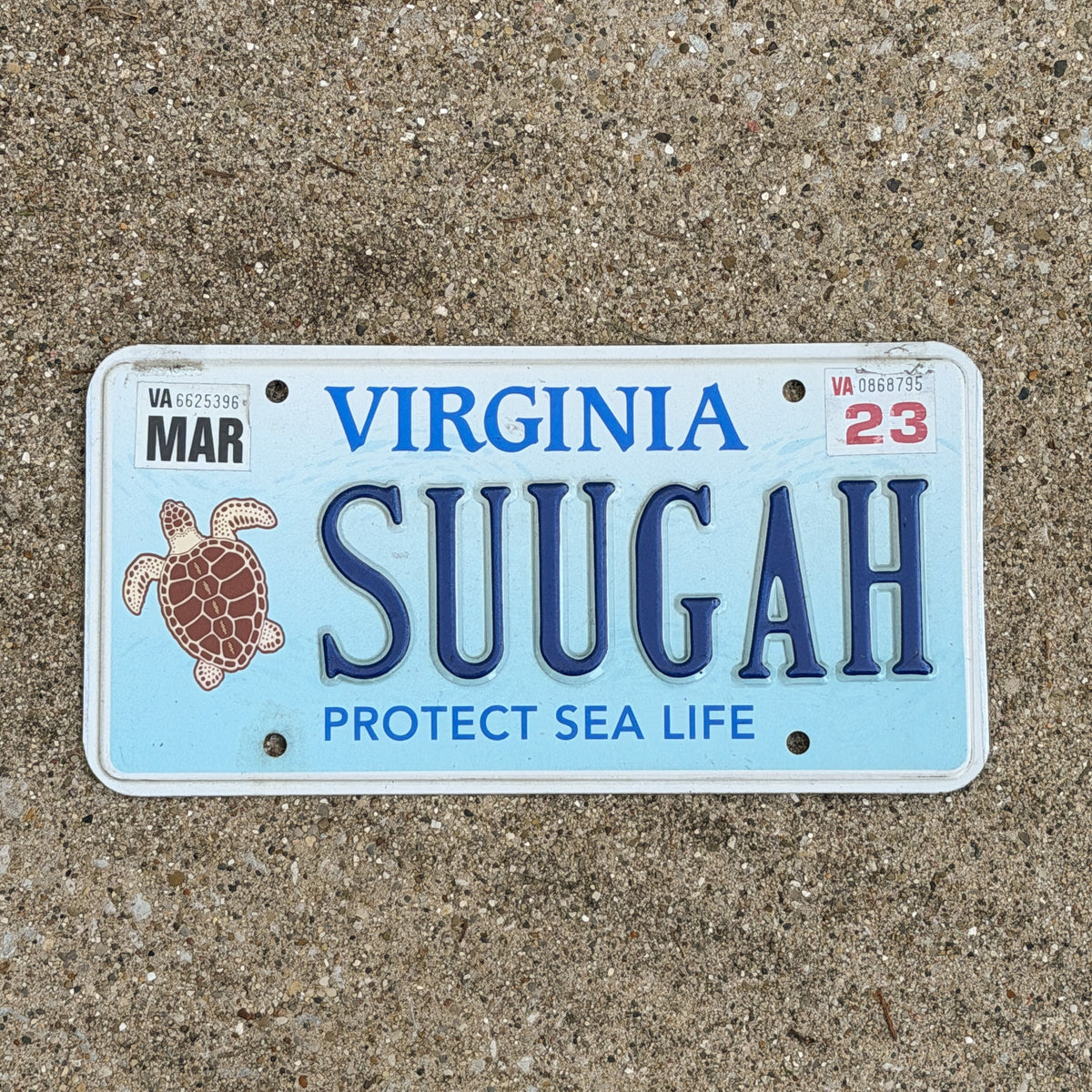 Photo of a 2019 2023 Virginia Graphic / Specialty License Plate Auto Tag 1 Vintage Vanity Protect Sea Life Turtle Surgar SUUGAH with original patina