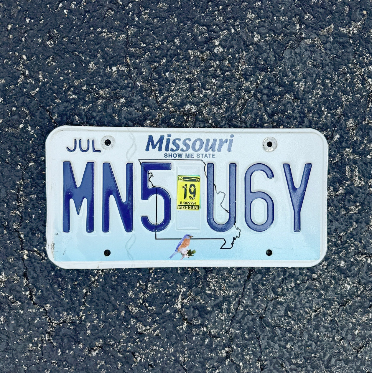 Photo of a 2019 Missouri License Plate Auto Tag Garage Decor Vintage MN5 U6Y