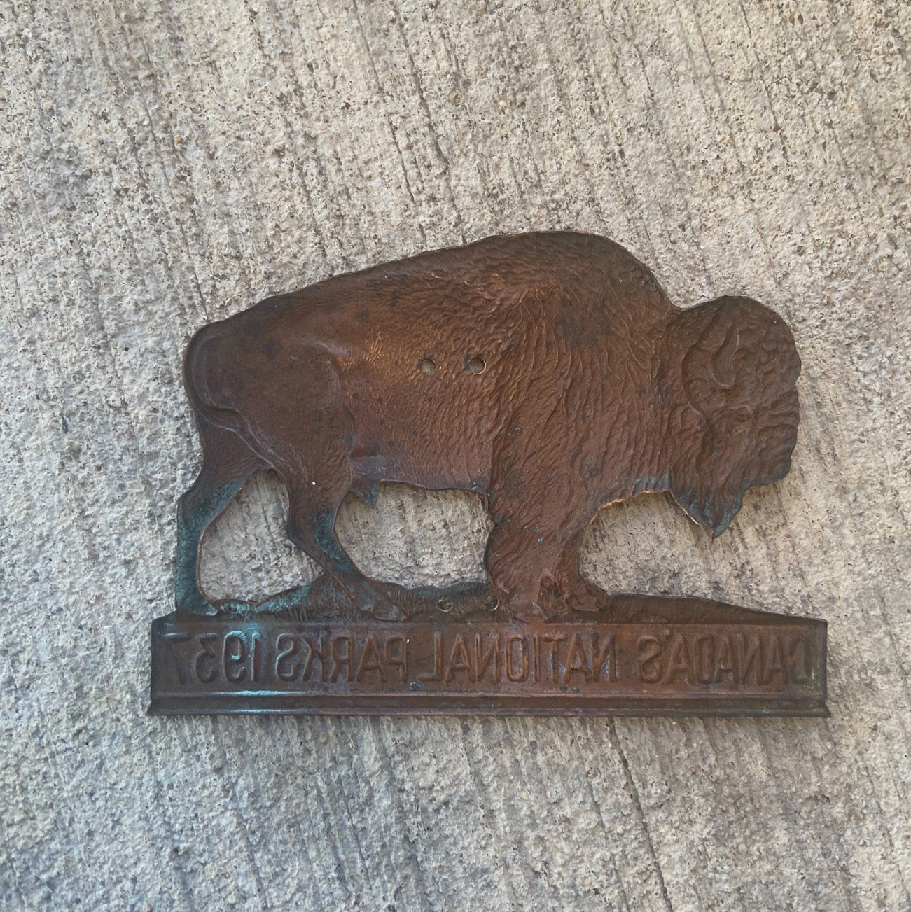 1937 Canada's National Parks Copper Buffalo Radiator Badge Canada License Plate Topper Auto Tag