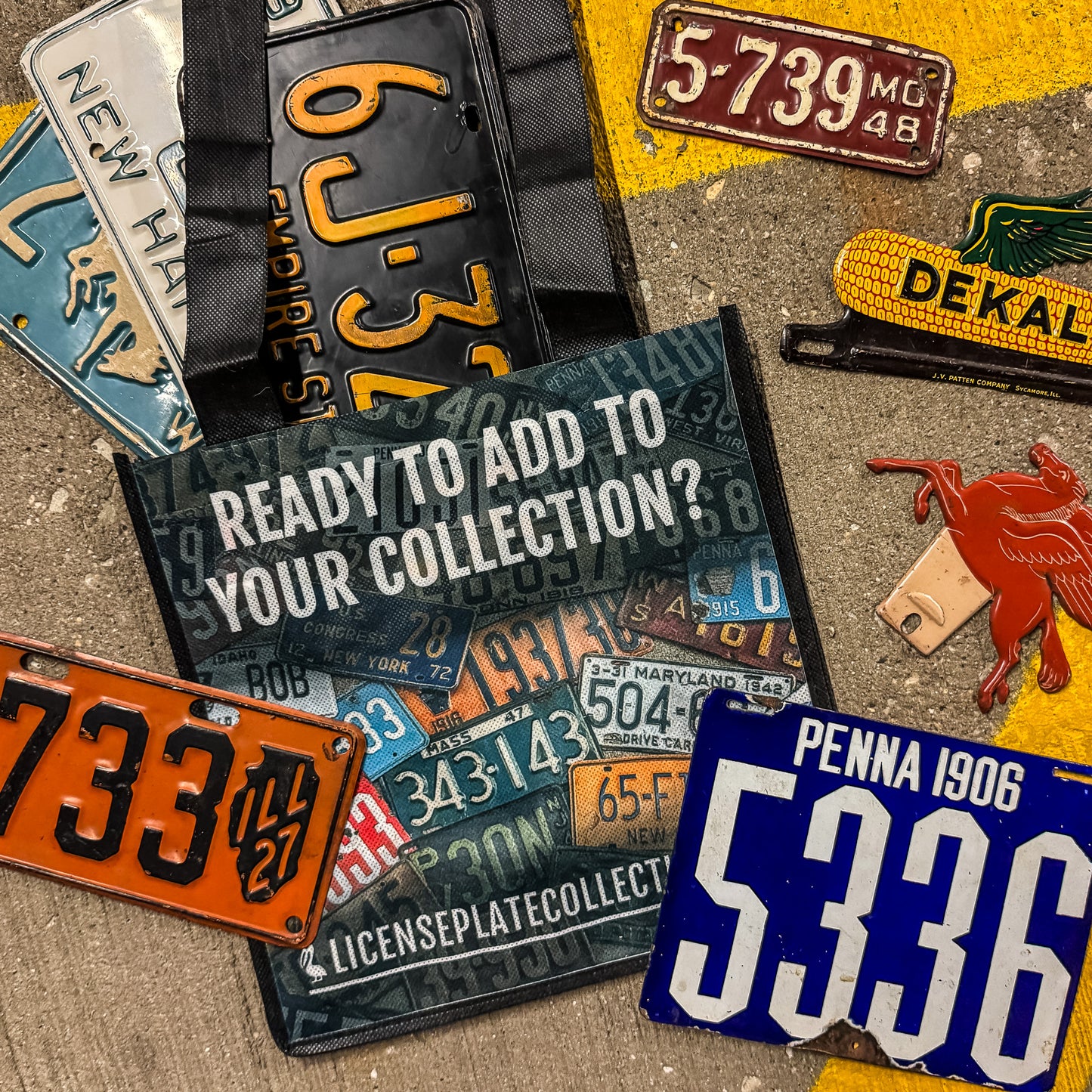 Reusable Bag - License Plate Collecting Print