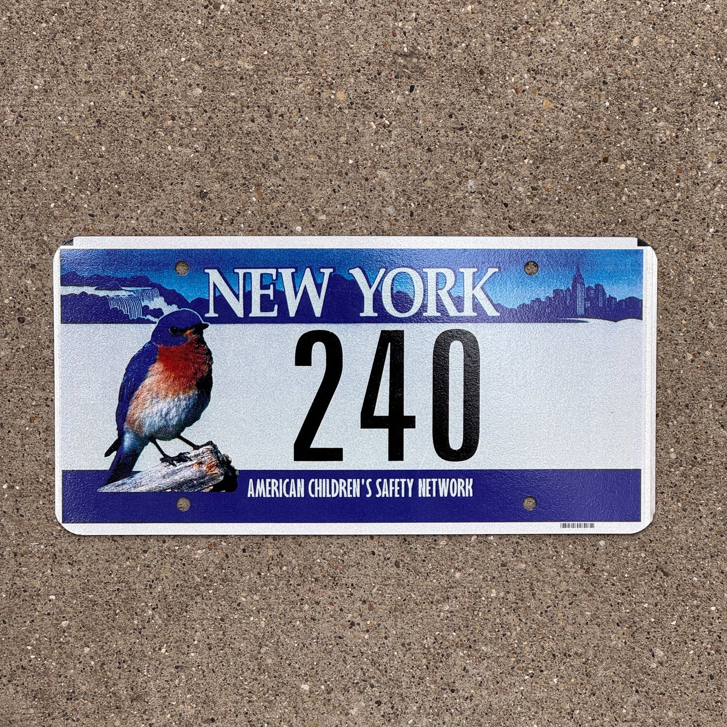 Photo of a New York License Plate Auto Tag Garage Decor Vintage American Children's Safety Network, Two Digit 240