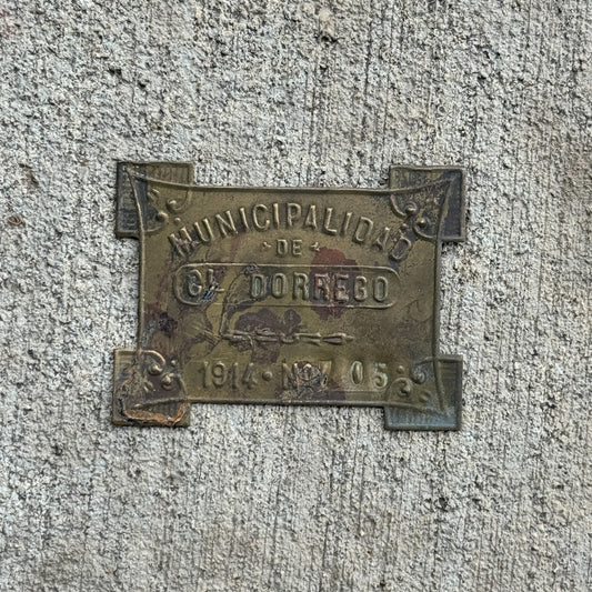 Photo of a 1914 Coronel Dorrego Argentina Auto Tag Garage Decor Vintage Badge 705 with original patina