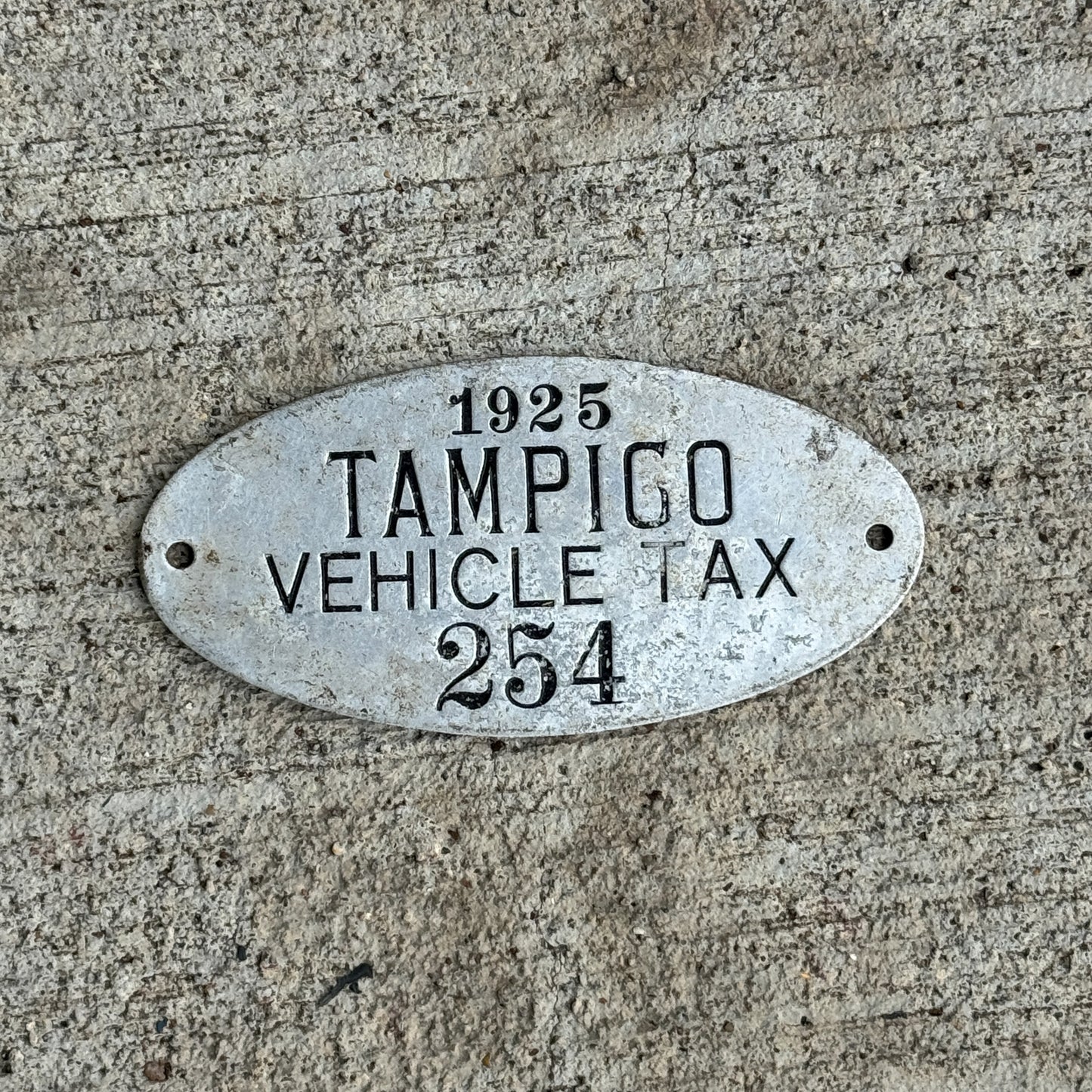 Photo of a 1925 Illinois Vehicle tax License Plate Auto Tag Garage Decor Vintage Tampico Township 254 with original patina
