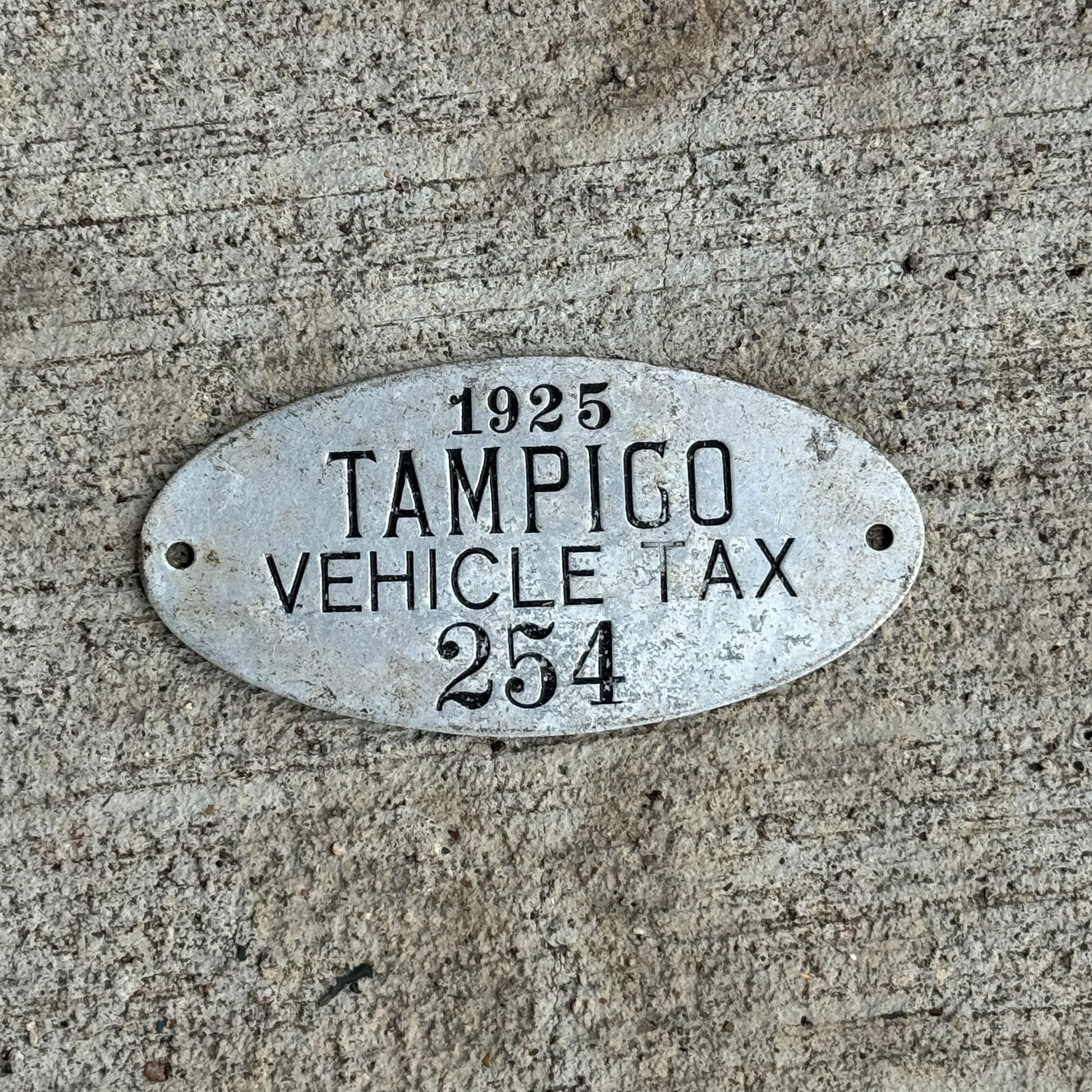 Photo of a 1925 Illinois Vehicle tax License Plate Auto Tag Garage Decor Vintage Tampico Township 254 with original patina