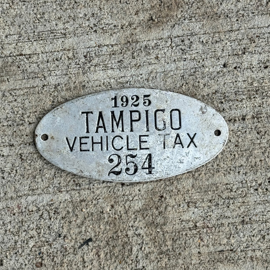 Photo of a 1925 Illinois Vehicle tax License Plate Auto Tag Garage Decor Vintage Tampico Township 254 with original patina
