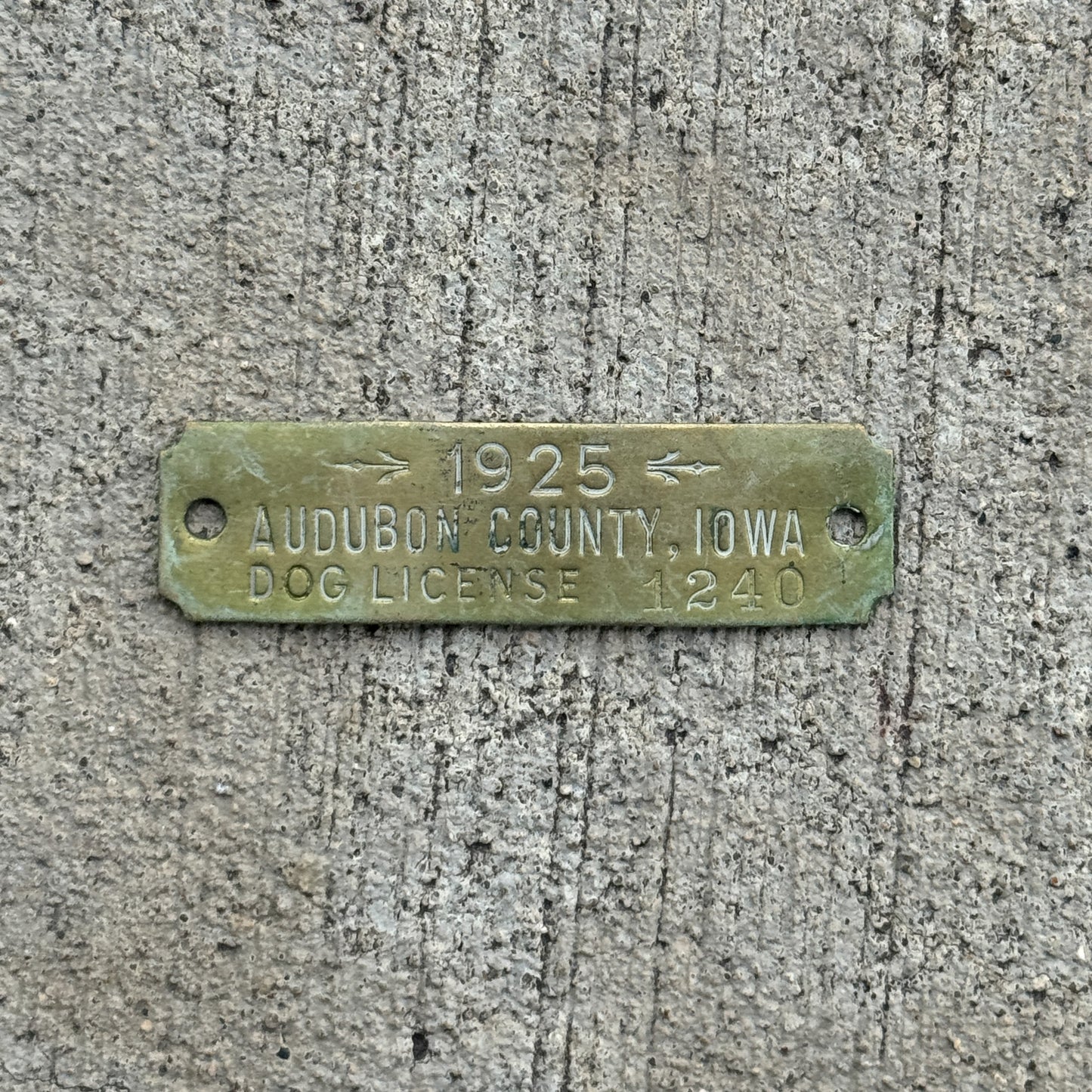 Photo of a 1925 Iowa Dog License License Plate Auto Tag Garage Decor Vintage 1240 with original patina