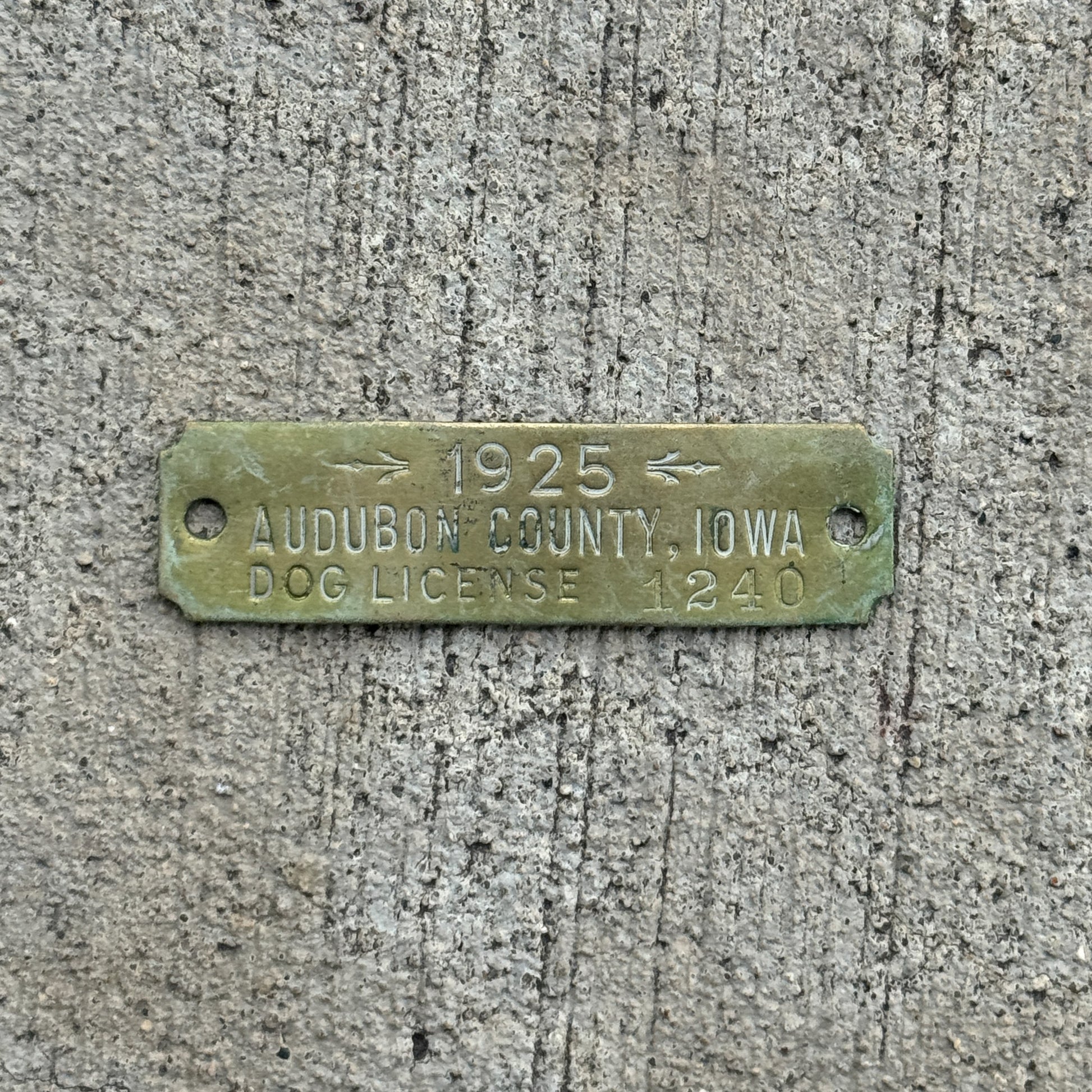 Photo of a 1925 Iowa Dog License License Plate Auto Tag Garage Decor Vintage 1240 with original patina