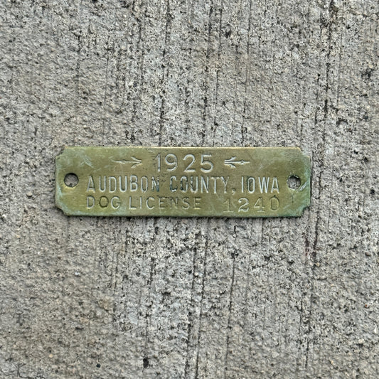 Photo of a 1925 Iowa Dog License License Plate Auto Tag Garage Decor Vintage 1240 with original patina