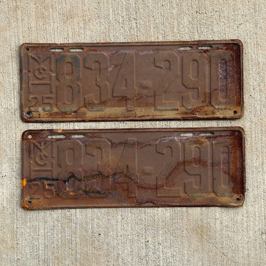 Photo of a 1925 Michigan License Plate Pair Auto Tag Garage Decor Vintage 834 290 with original patina