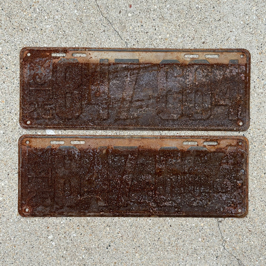 Photo of a 1925 Michigan License Plate Pair Auto Tag Garage Decor Vintage 847 664 with original patina