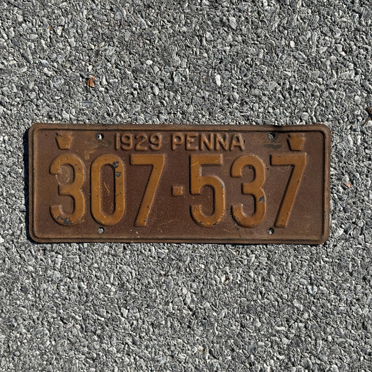 Photo of a 1929 Pennsylvania License Plate Auto Tag Garage Decor Vintage 307 537