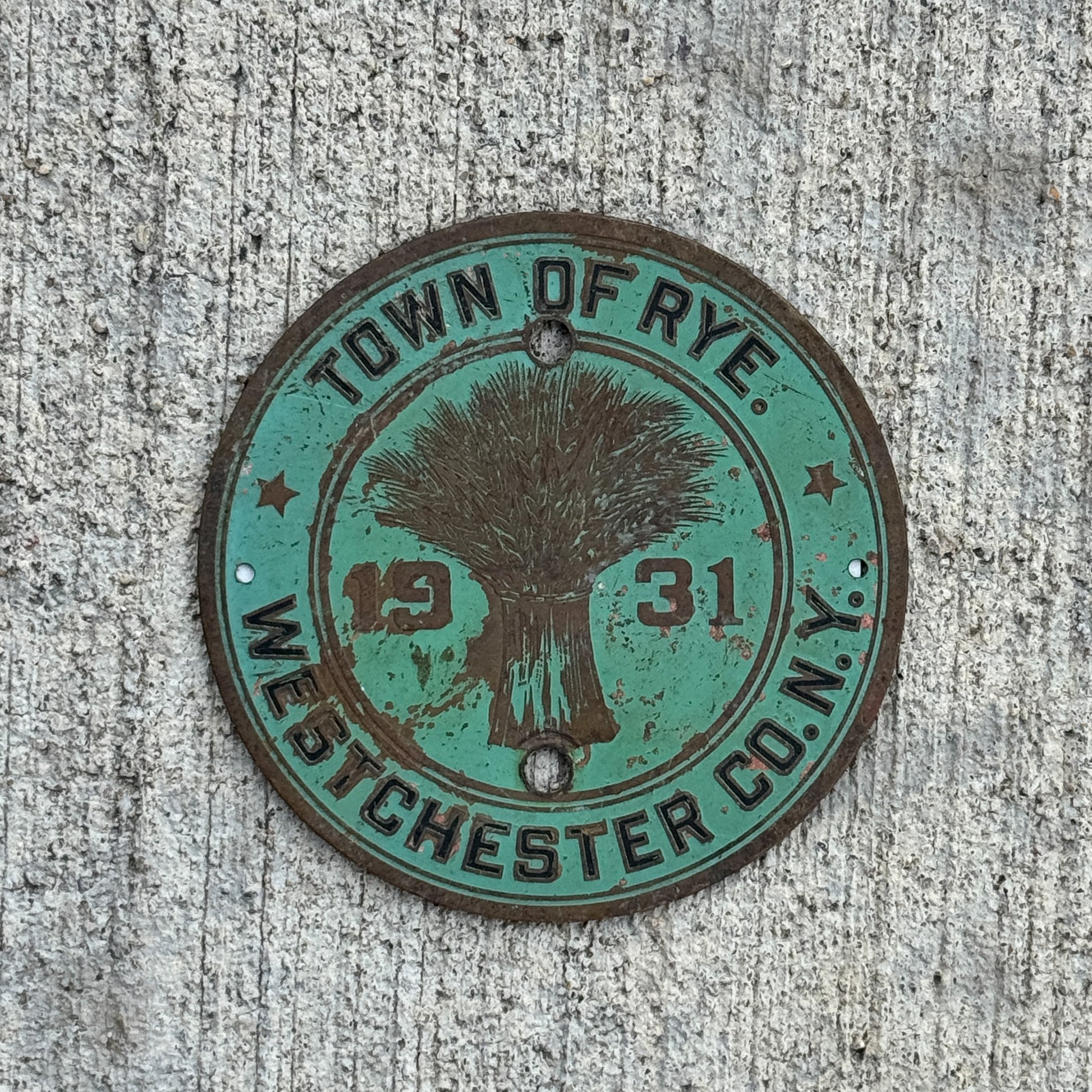 Photo of a 1931 Town of Rye New York Badge Emblem License Plate Topper Auto Tag Garage Decor Vintage with original patina