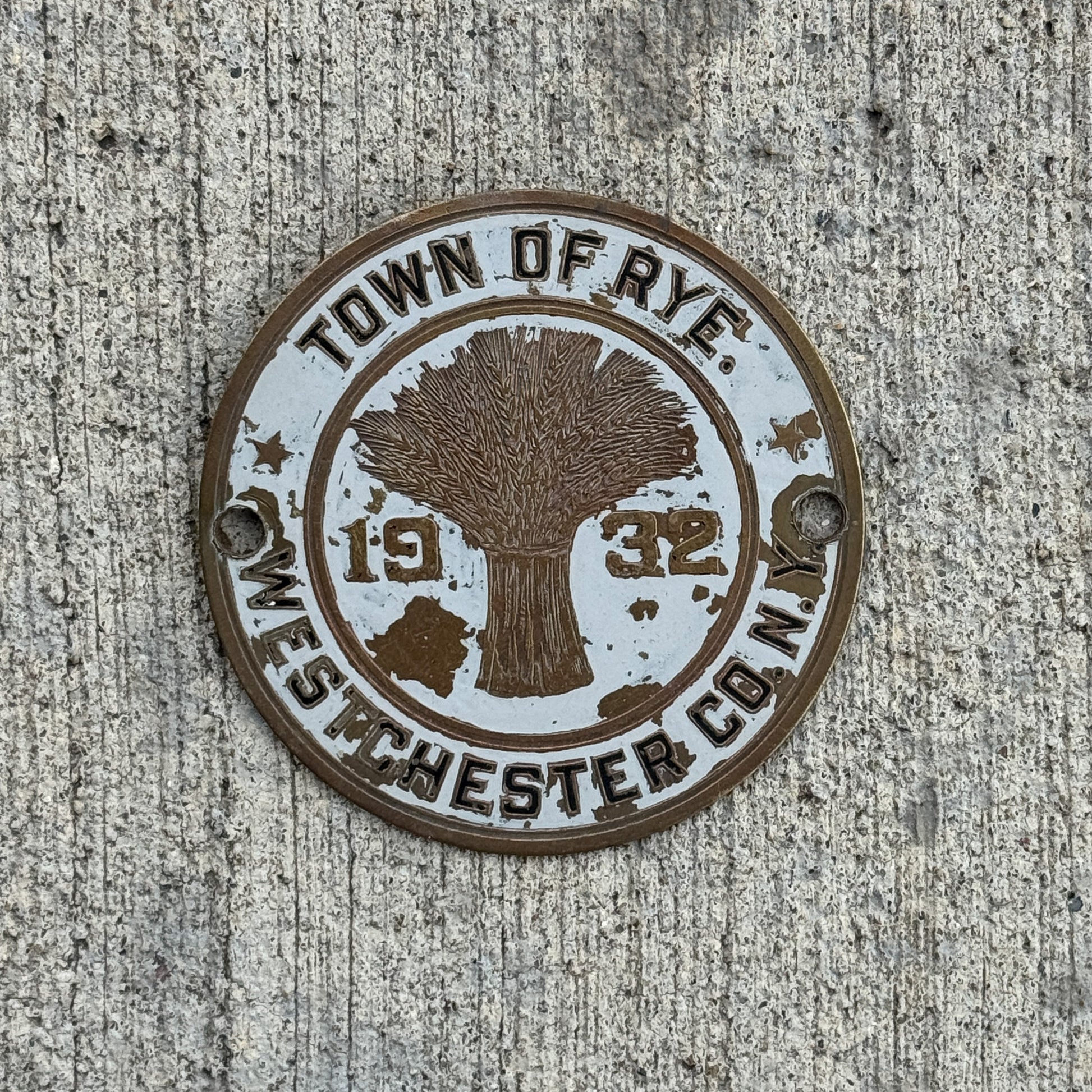 Photo of a 1932 Town of Rye New York Badge Emblem License Plate Topper Auto Tag Garage Decor Vintage with original patina