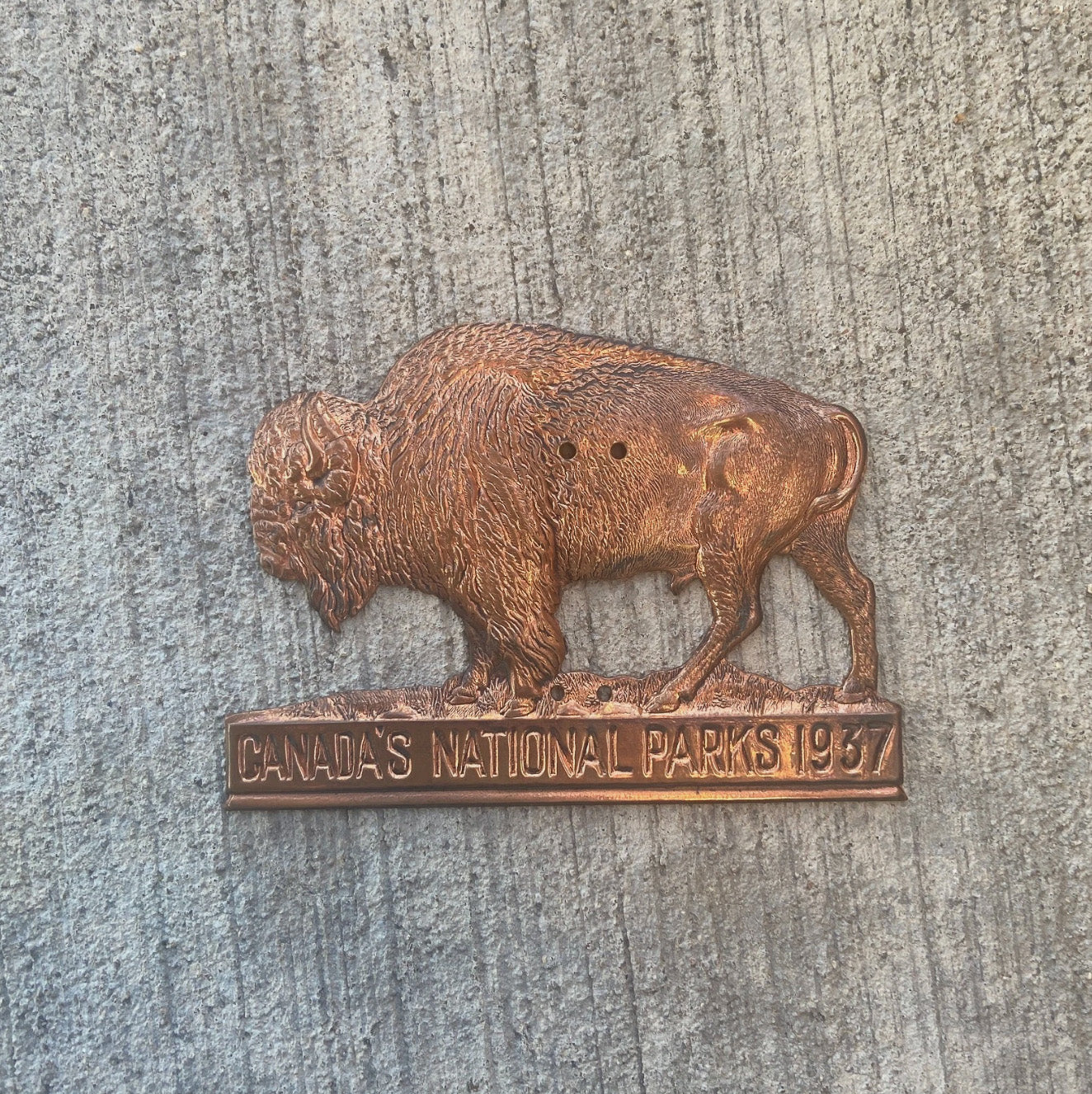 Photo of a 1937 Canada's National Parks Copper Buffalo Radiator Badge Canada License Plate Topper Auto Tag Garage Decor Vintage with original patina