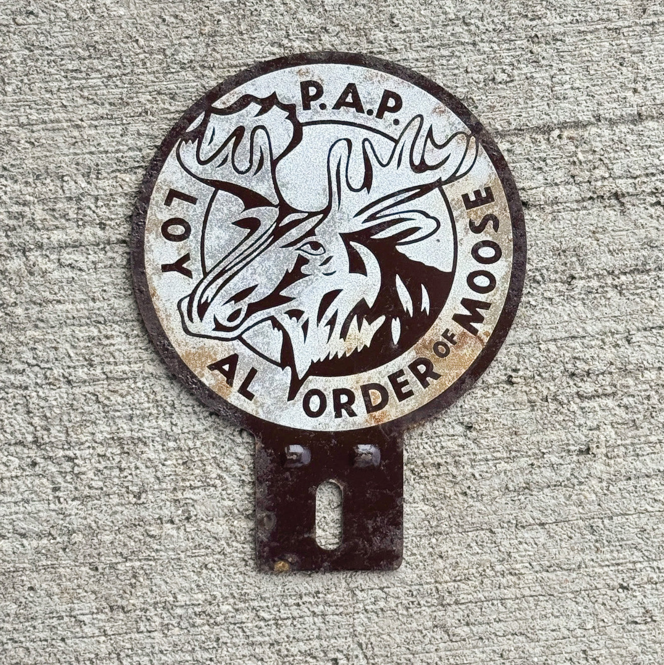 Photo of a 1950 Era Loyal Order of Moose License Plate Topper Auto Tag Garage Decor Vintage Smaltz Paint Fraternal PAP with original patina
