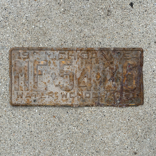 Photo of a 1954 Michigan License Plate Auto Tag Garage Decor Vintage ME 54 16 with original patina