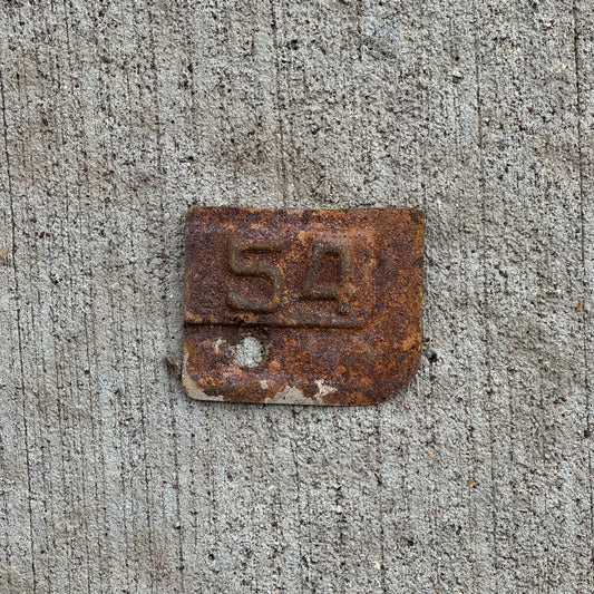 Photo of a 1954 New York Tab License Plate Auto Tag Garage Decor Vintage with original patina
