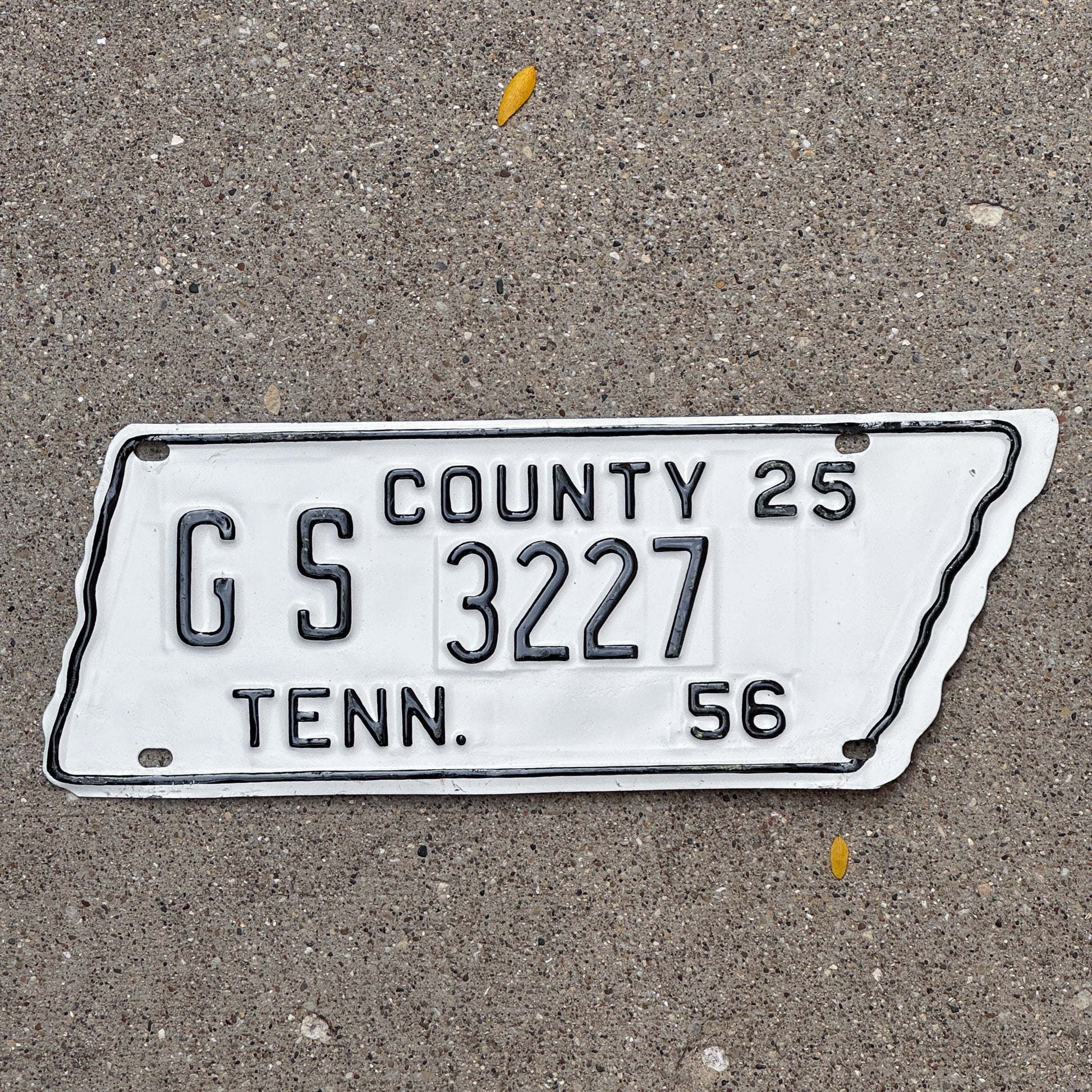 Photo of a 1956 Tennessee County License Plate Auto Tag Garage Decor Vintage State Shape GS 3227