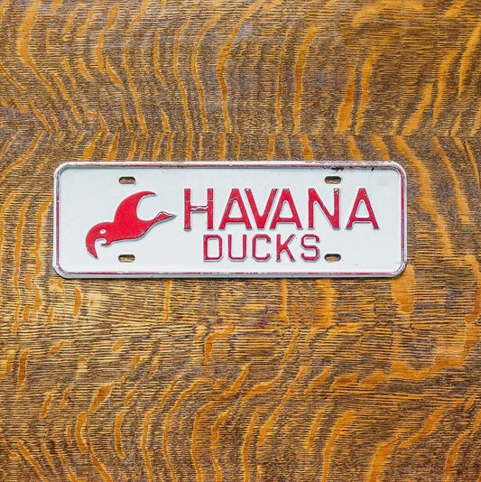 Photo of a 1960 Era Havana Ducks Illinois License Plate Topper Auto Tag Garage Decor Vintage High School Bird Hunting Goose with original patina