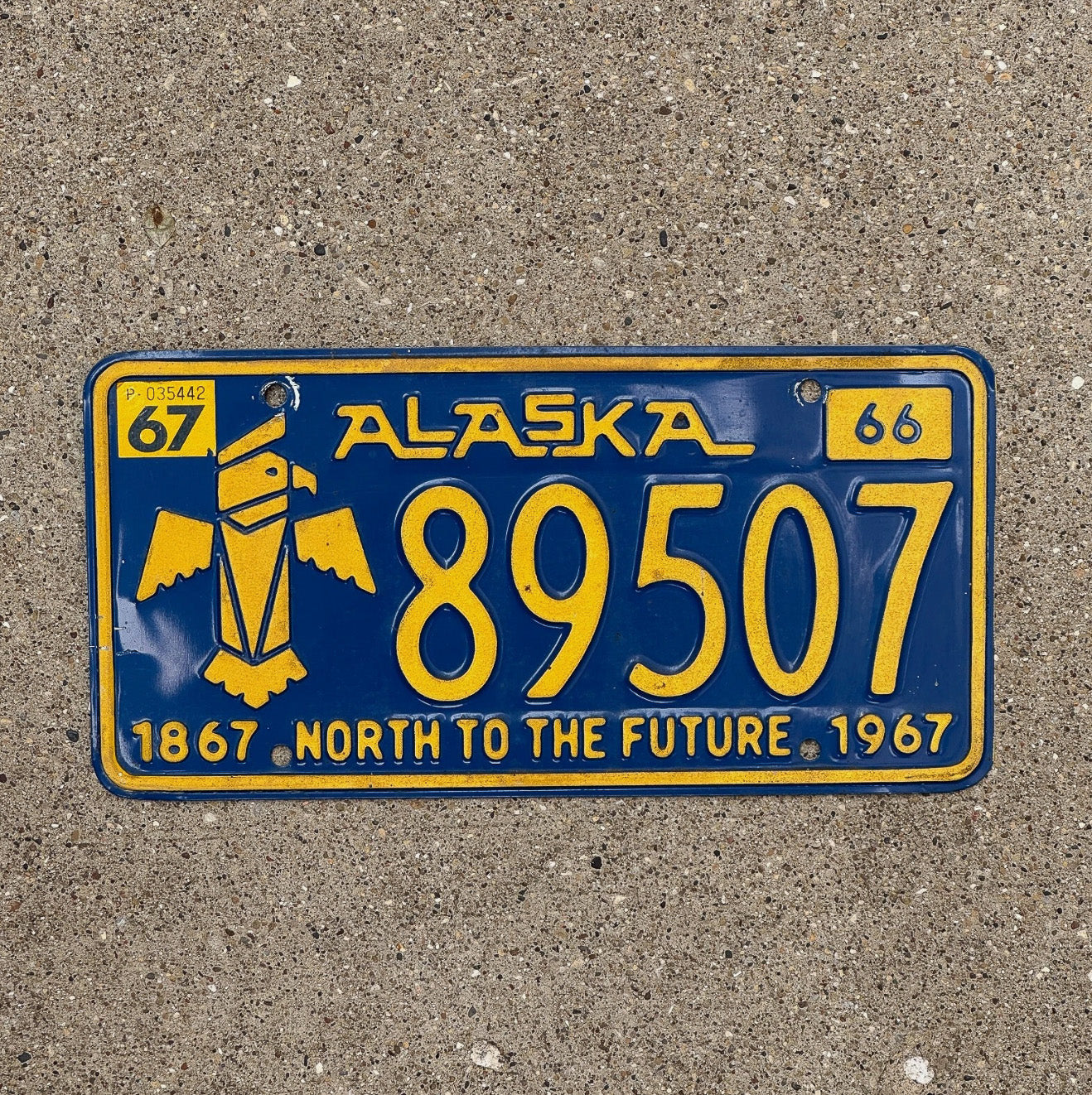 Photo of a 1966 1967 Alaska License Plate Auto Tag Garage Decor Vintage Iconic Totem North to the Future 89507 with original patina