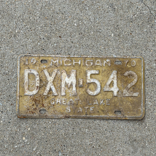 Photo of a 1970 Michigan License Plate Auto Tag 2 Vintage Garage DXM 542 with original patina