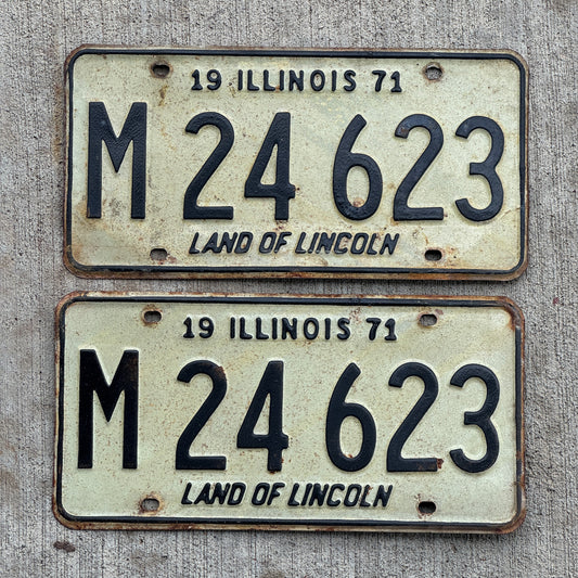 Photo of a 1971 Illinois Municipal License Plate Pair Auto Tag Garage Decor Vintage M 24 623 with original patina
