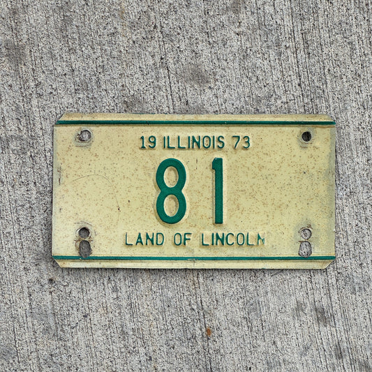 Photo of a 1973 Illinois Motorcycle License Plate Auto Tag Garage Decor Vintage Repeat Repeating 81 with original patina