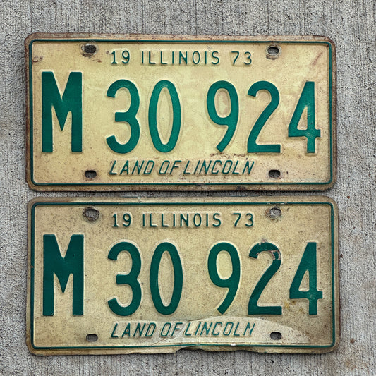 Photo of a 1973 Illinois Municipal License Plate Pair Auto Tag Garage Decor Vintage M 30 924 with original patina