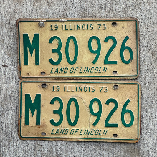 Photo of a 1973 Illinois Municipal License Plate Pair Auto Tag Garage Decor Vintage M 30 926 with original patina