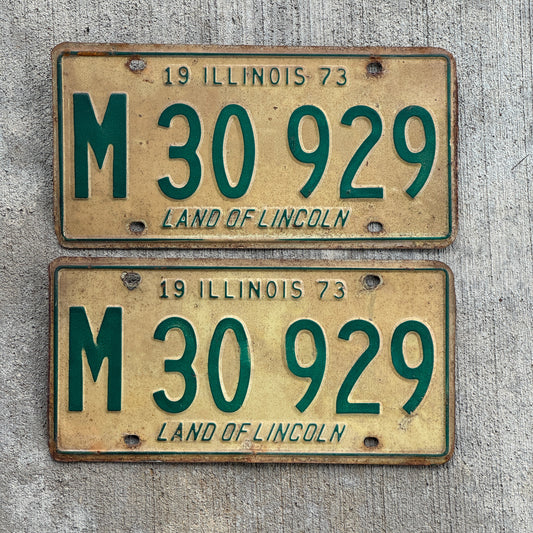Photo of a 1973 Illinois Municipal License Plate Pair Auto Tag Garage Decor Vintage M 30 929 with original patina