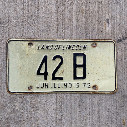 Photo of a 1973 Illinois Truck License Plate Auto Tag Garage Decor Vintage Low Number Two Digit 42 B with original patina
