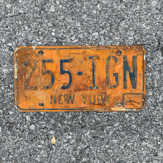 Photo of a 1973 New York License Plate Auto Tag Garage Decor Vintage 255 IGN