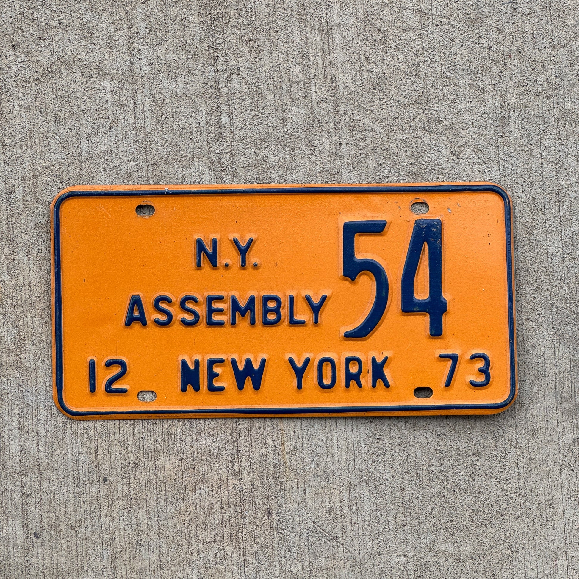 Photo of a 1973 New York NY ASSEMBLY License Plate Auto Tag Garage Decor Vintage 54