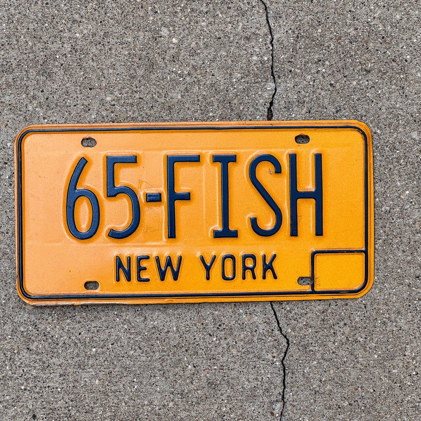 Photo of a 1973 New York Vanity License Plate Auto Tag Garage Decor Vintage Fishing Dad Gift 65 FISH with original patina