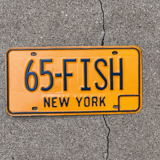Photo of a 1973 New York Vanity License Plate Auto Tag Garage Decor Vintage Fishing Dad Gift 65 FISH with original patina