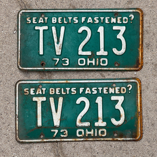 Photo of a 1973 Ohio License Plate Pair Auto Tag Garage Decor Vintage TV 213 with original patina