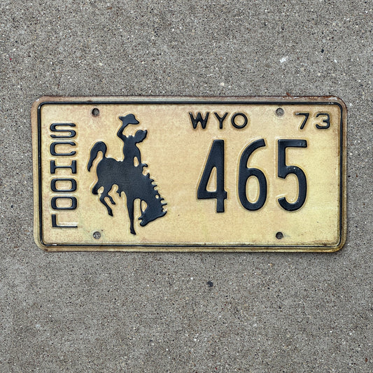 Photo of a 1973 Wyoming School License Plate Auto Tag Garage Decor Vintage 465