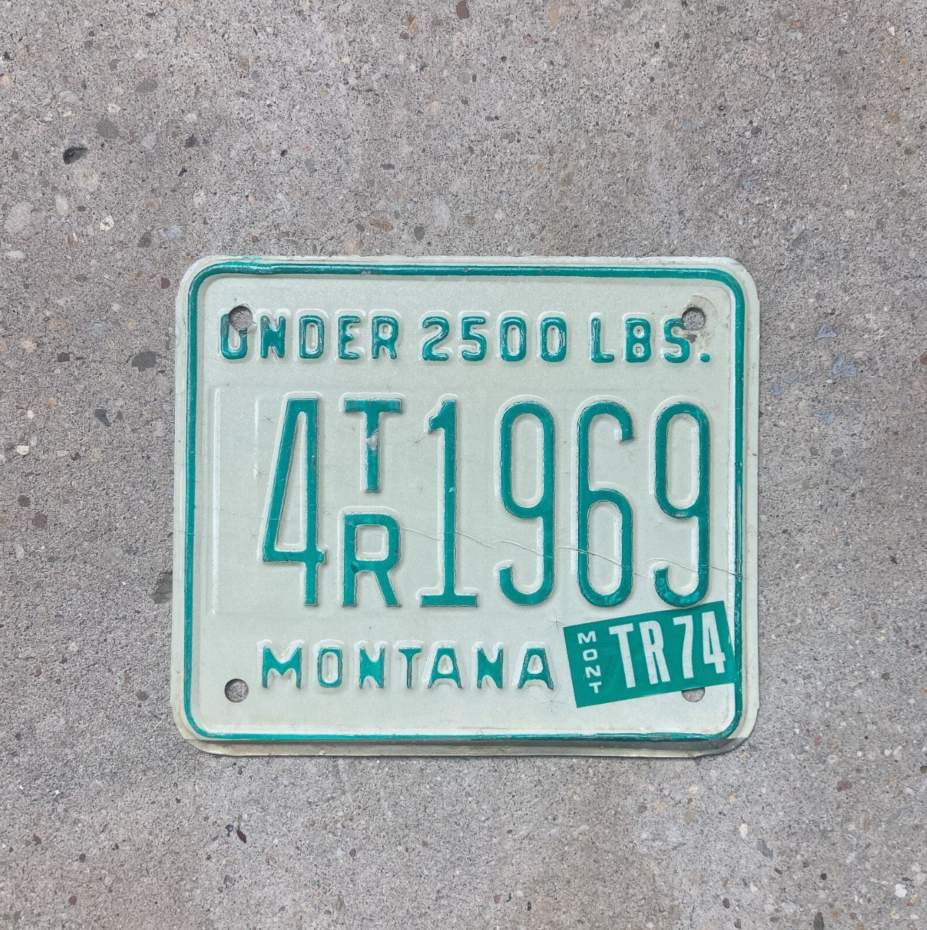 Photo of a 1974 Montana Light Trailer License Plate Auto Tag Garage Decor Vintage 4 TR 1969