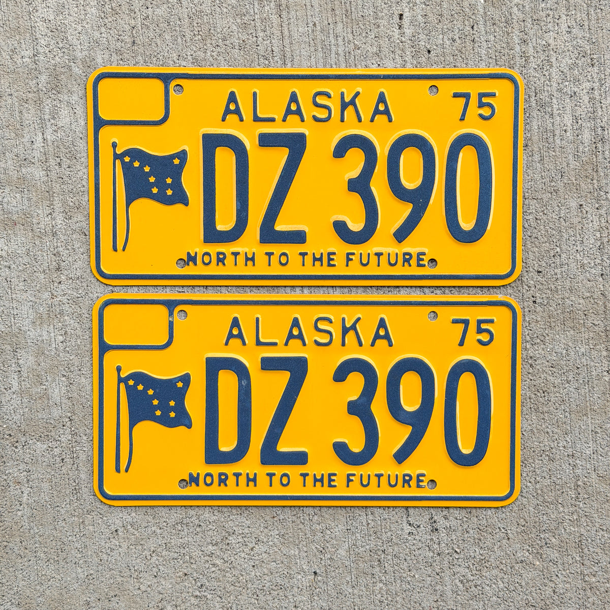 Photo of a 1975 Alaska License Plate Pair Auto Tag Garage Decor Vintage DZ 390 with original patina
