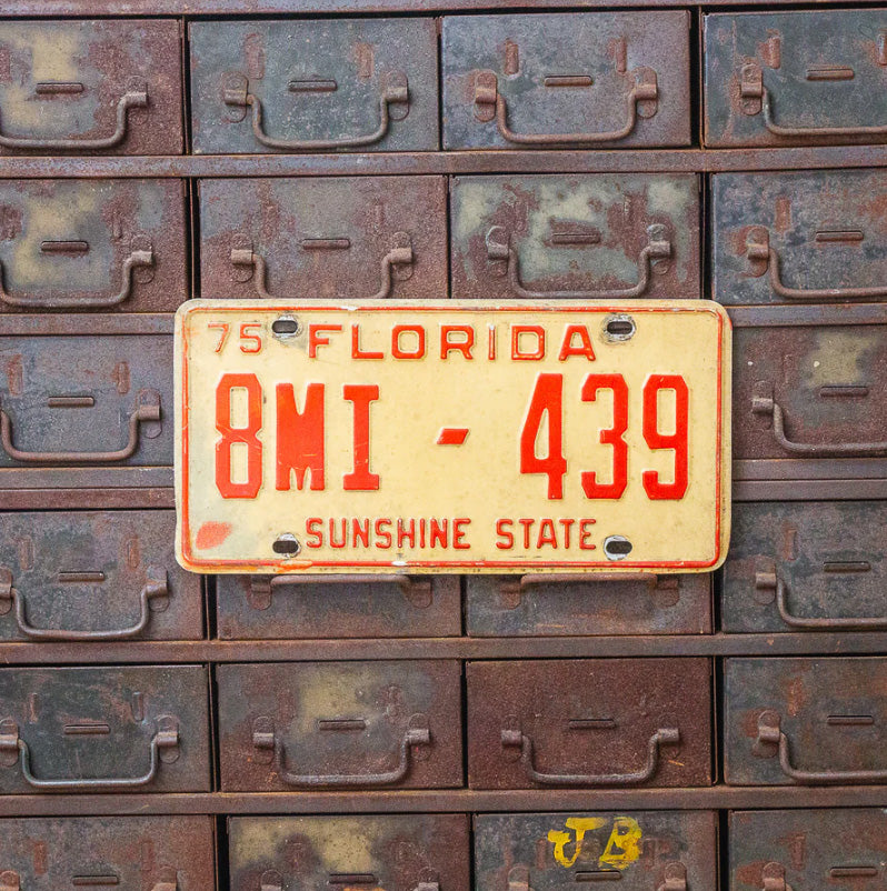 Photo of a 1975 Florida Dealer License Plate Auto Tag Garage Decor Vintage Volusia County 8 MI 439 with original patina